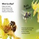 DK Super Readers Level 2 Amazing Bees Preview 2
