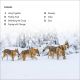 DK Super Readers Level 3 Wild Animal Groups Preview 1