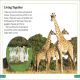 DK Super Readers Level 3 Wild Animal Groups Preview 2