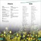 DK Super Readers Level 3 Bioluminescent Animals Preview 4