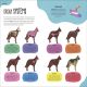 The Animal Body Book Preview 1