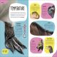 The Animal Body Book Preview 3