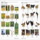 Japanese English Bilingual Visual Dictionary Preview 3