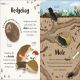 Bedtime Books Preview 1