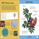 Quiz Yourself Clever! Trees of the World Preview 4