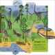 My Very Important Lift-the-Flap Book: Dinosaurs and Other Prehistoric Life Preview 2