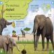 My Encyclopedia of Very Important Animals Preview 2