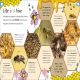 My Encyclopedia of Very Important Animals Preview 4