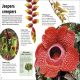 Eyewonder Rainforest Preview 1