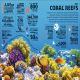 Our World in Numbers Planet Earth Preview 4