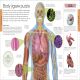 Human Body A Visual Encyclopedia Preview 2