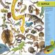 Eyewitness Encyclopedia of Animals Preview 4
