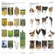 Polish English Bilingual Visual Dictionary Preview 3
