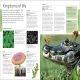 Geography Preview 3