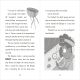 The Secret Explorers and the Lost Whales Preview 4
