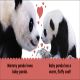 Baby Touch and Feel Panda Preview 1