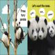 Baby Touch and Feel Panda Preview 2