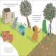 Guinea Pigs Go Gardening Preview 1