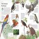 The Bird Atlas Preview 1
