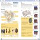 Eyewitness Workbooks Ancient Greece Preview 2