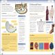 Eyewitness Workbooks Ancient Greece Preview 3