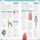 Eyewitness Workbooks Human Body Preview 1