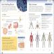 Eyewitness Workbooks Human Body Preview 2