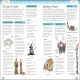 Eyewitness Workbooks Medieval Life Preview 1