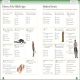 Eyewitness Workbooks Medieval Life Preview 4