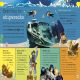My Encyclopedia of Very Important Oceans Preview 2