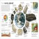 Rocks and Minerals Preview 1