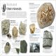 Rocks and Minerals Preview 2
