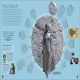 Timelines from Black History Preview 1