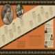 Timelines from Black History Preview 3