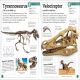 My Book of Fossils Preview 4
