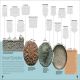 Timelines from Indian History Preview 1