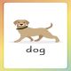 English for Everyone Junior English Alphabet Flash Cards Preview 4