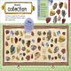 The Fact-Packed Activity Book: Rocks and Minerals Preview 2