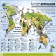 Atlas de curiosidades (Where on Earth?) Preview 2