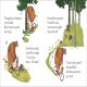 Jonny Lambert’s Bear and Bird: Try, Try Again Preview 2