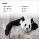 DK Super Readers Level 2 The Great Panda Tale Preview 1