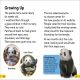 DK Super Readers Level 2 The Great Panda Tale Preview 2
