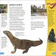 DK Super Readers Level 4 Beastly Tales Preview 2