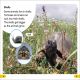 DK Super Readers Level 2 Animals at Home Preview 2