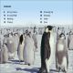 DK Super Readers Level 3 Emperor Penguins Preview 1