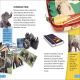 DK Super Readers Level 4 Hope for the Elephants Preview 2