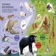 1000 Animal Words Preview 2