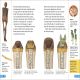 DK Super Readers Level 4 Secrets of the Mummies Preview 2