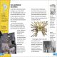 DK Super Readers Level 4 Secrets of the Mummies Preview 3