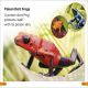 DK Super Readers Level 1 Jungle Animals Preview 3